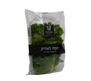חסה לאליק