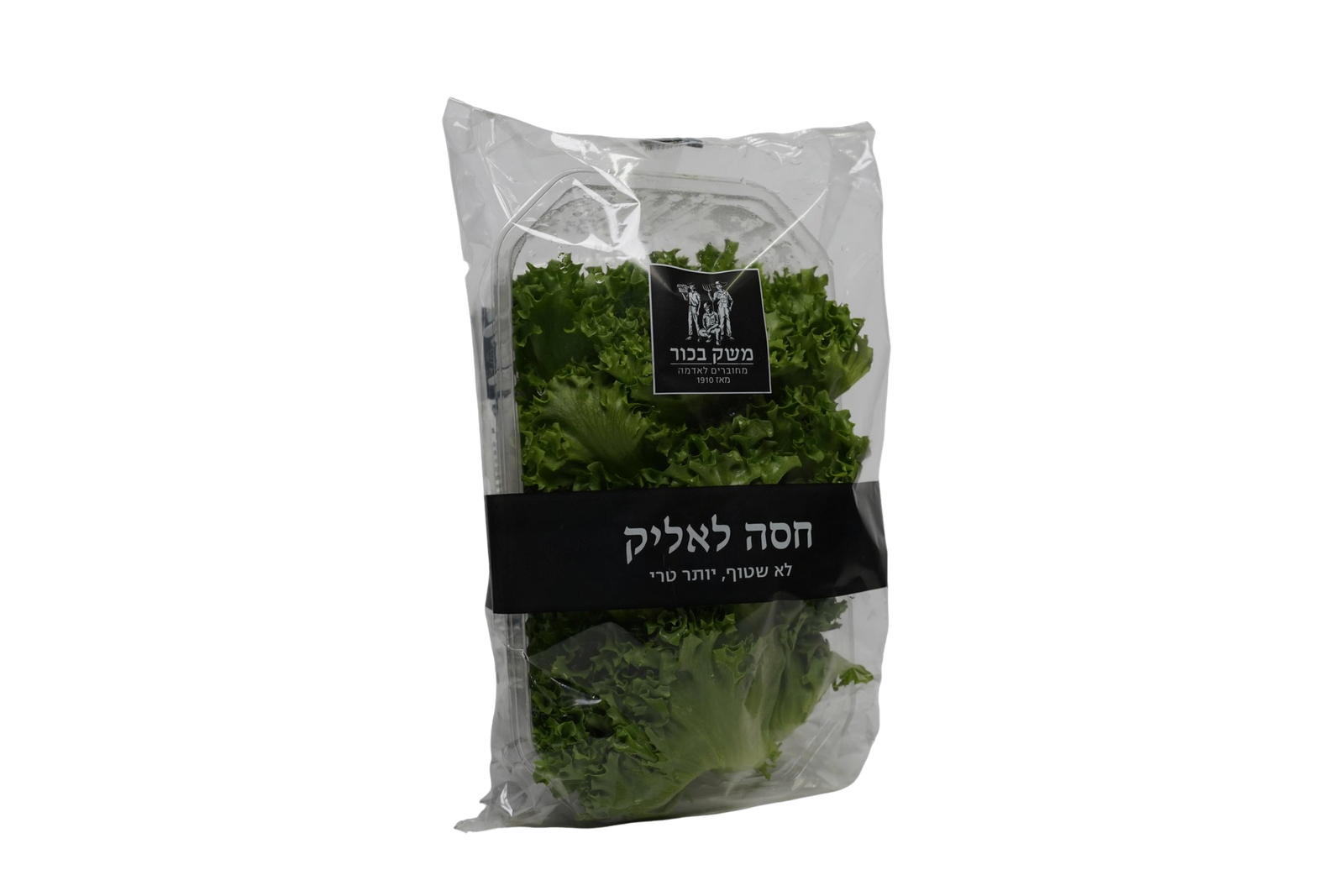 חסה לאליק
