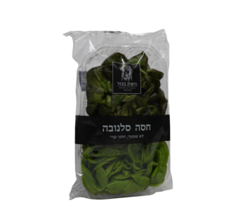 חסה סלנובה