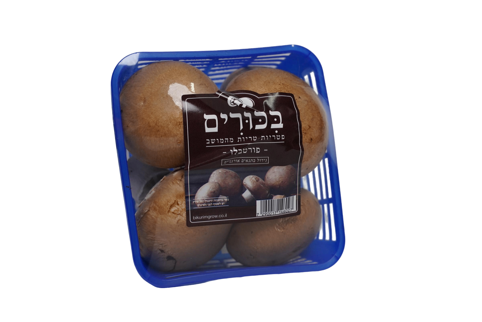 פטריות פורטבלה