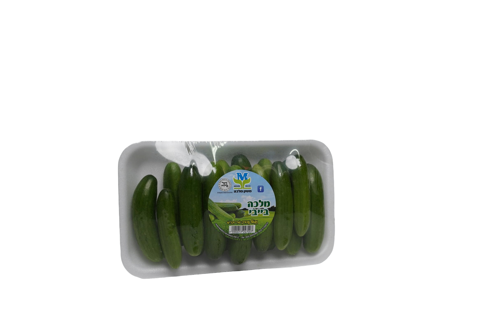 מלפפון מיני